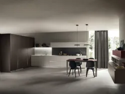 Cucina Moderna DeLinea in laccato Grigio Chiaro e Rovere Grafite di Scavolini